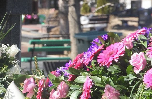 Sto zene pali sto zene pali